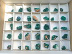 Natural Small Dioptase Specimens on Dolomite Matrix x 35 From Tantara Mine, Congo - Toprock Gemstones and Minerals 