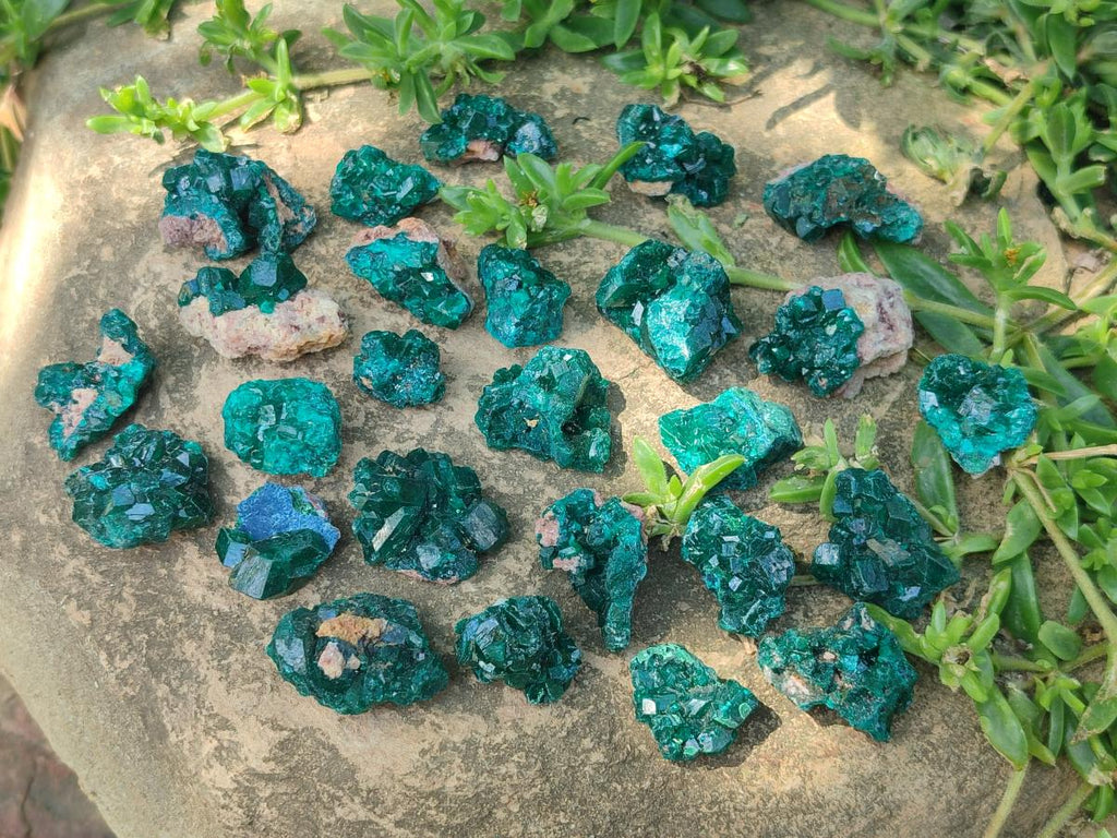Natural Small Dioptase Specimens on Dolomite Matrix x 35 From Tantara Mine, Congo - Toprock Gemstones and Minerals 