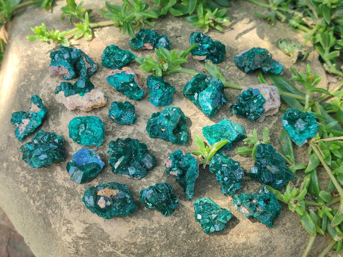 Natural Small Dioptase Specimens on Dolomite Matrix x 35 From Tantara Mine, Congo - Toprock Gemstones and Minerals 