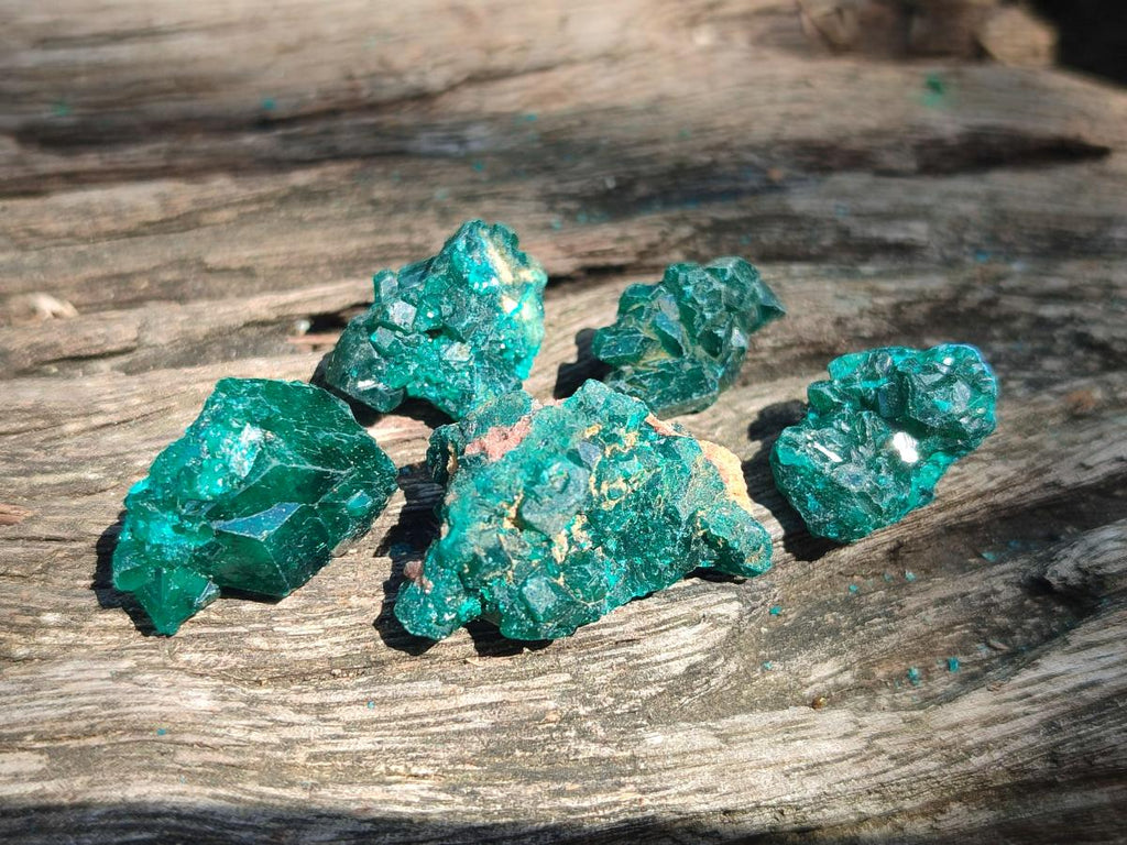 Natural Small Dioptase Specimens on Dolomite Matrix x 35 From Tantara Mine, Congo - Toprock Gemstones and Minerals 