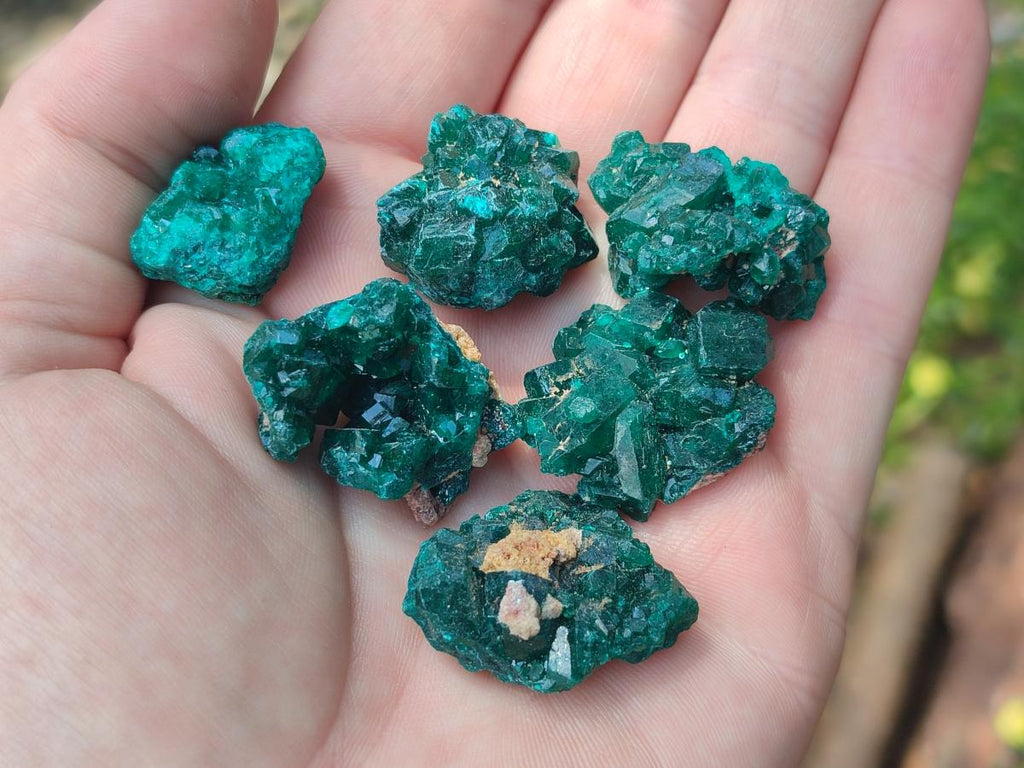 Natural Small Dioptase Specimens on Dolomite Matrix x 35 From Tantara Mine, Congo - Toprock Gemstones and Minerals 