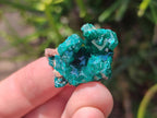 Natural Small Dioptase Specimens on Dolomite Matrix x 35 From Tantara Mine, Congo - Toprock Gemstones and Minerals 