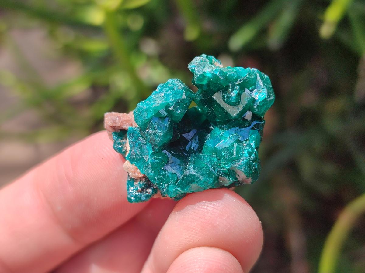 Natural Small Dioptase Specimens on Dolomite Matrix x 35 From Tantara Mine, Congo - Toprock Gemstones and Minerals 