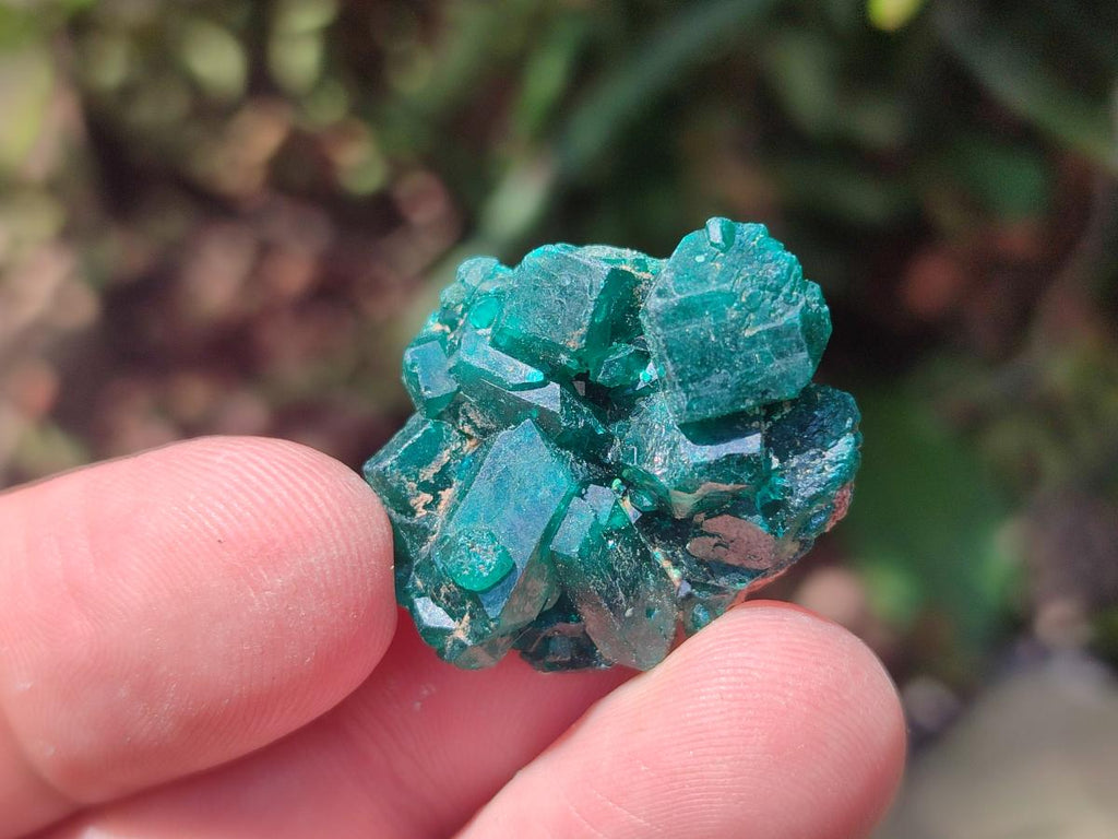 Natural Small Dioptase Specimens on Dolomite Matrix x 35 From Tantara Mine, Congo - Toprock Gemstones and Minerals 