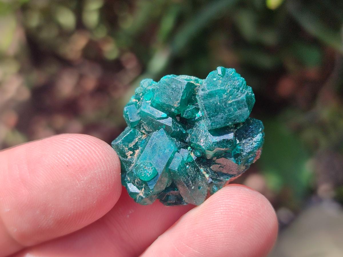 Natural Small Dioptase Specimens on Dolomite Matrix x 35 From Tantara Mine, Congo - Toprock Gemstones and Minerals 