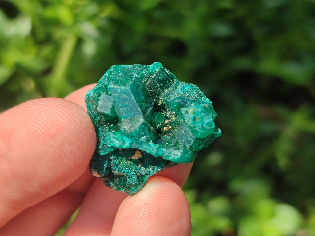 Natural Small Dioptase Specimens on Dolomite Matrix x 35 From Tantara Mine, Congo - Toprock Gemstones and Minerals 