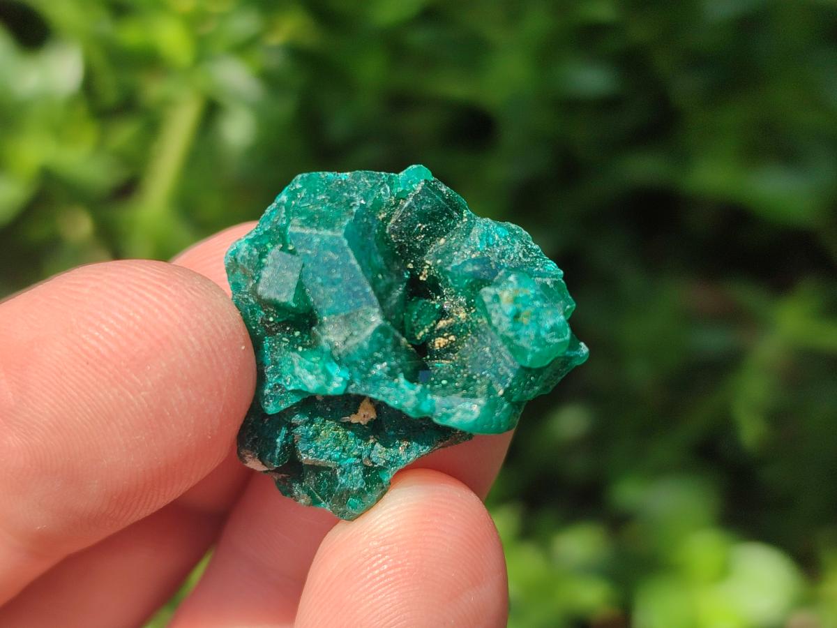 Natural Small Dioptase Specimens on Dolomite Matrix x 35 From Tantara Mine, Congo - Toprock Gemstones and Minerals 