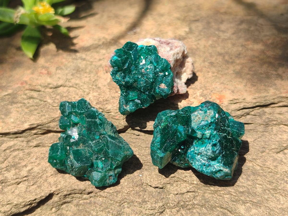 Natural Small Dioptase Specimens on Dolomite Matrix x 35 From Tantara Mine, Congo - Toprock Gemstones and Minerals 