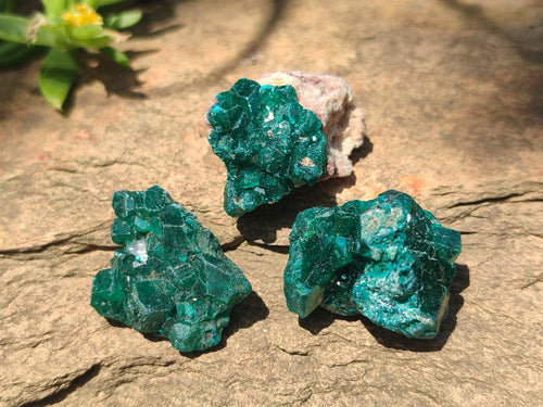 Natural Small Dioptase Specimens on Dolomite Matrix x 35 From Tantara Mine, Congo - Toprock Gemstones and Minerals 