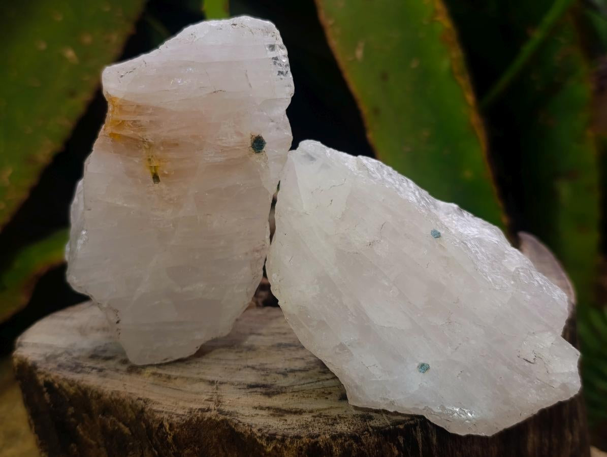Polished One Side Tourmalinated Quartz Slices x 24 From Namibia - Toprock Gemstones and Minerals 