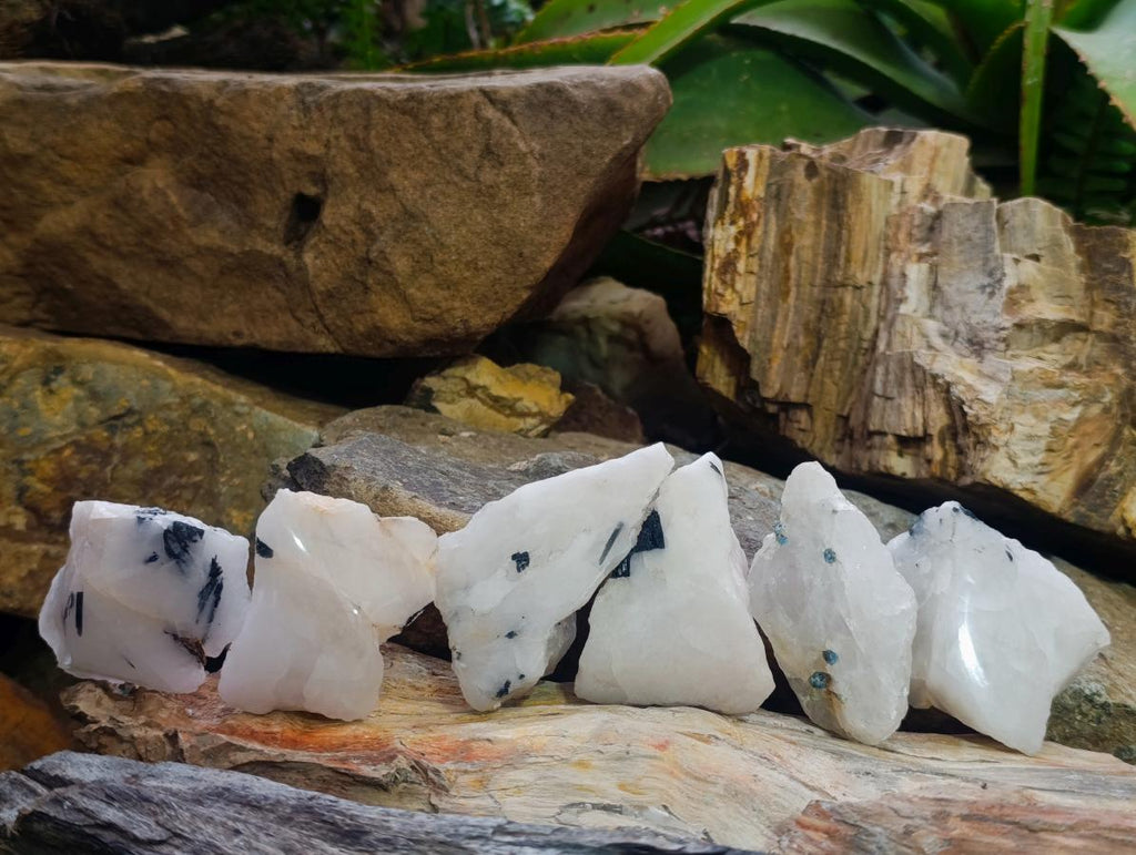 Polished One Side Tourmalinated Quartz Slices x 24 From Namibia - Toprock Gemstones and Minerals 