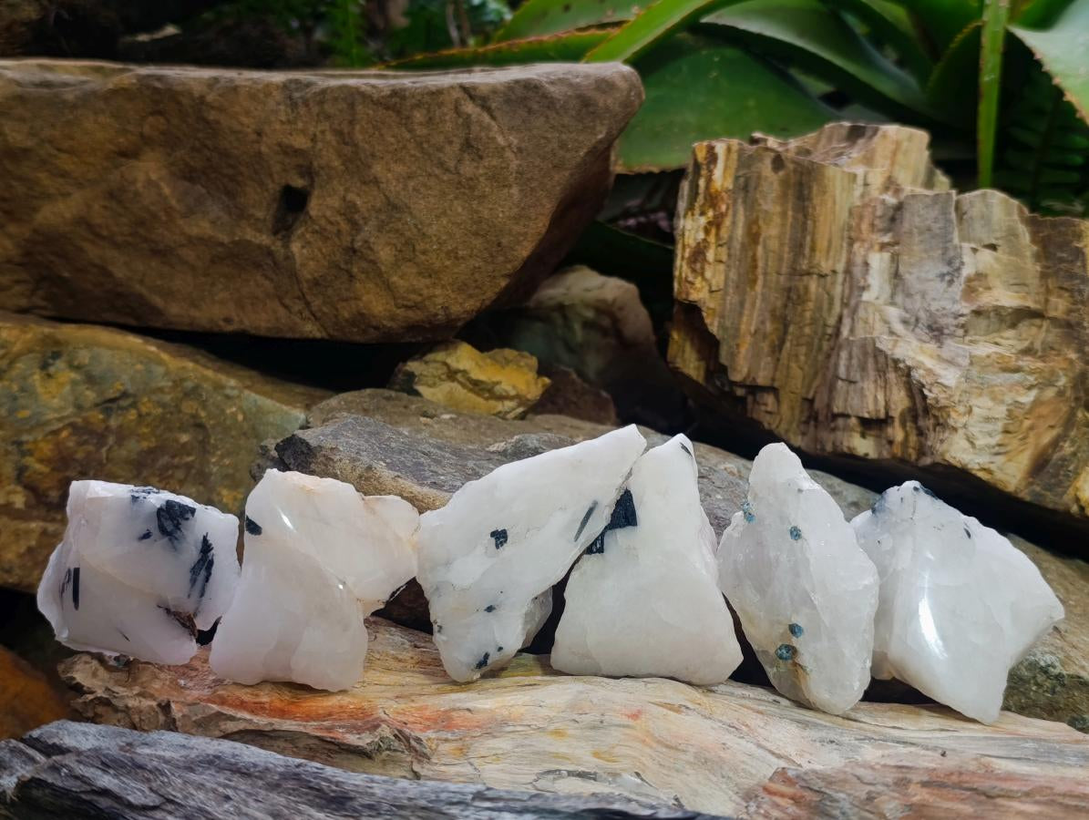 Polished One Side Tourmalinated Quartz Slices x 24 From Namibia - Toprock Gemstones and Minerals 