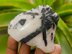 Polished One Side Tourmalinated Quartz Slices x 24 From Namibia - Toprock Gemstones and Minerals 