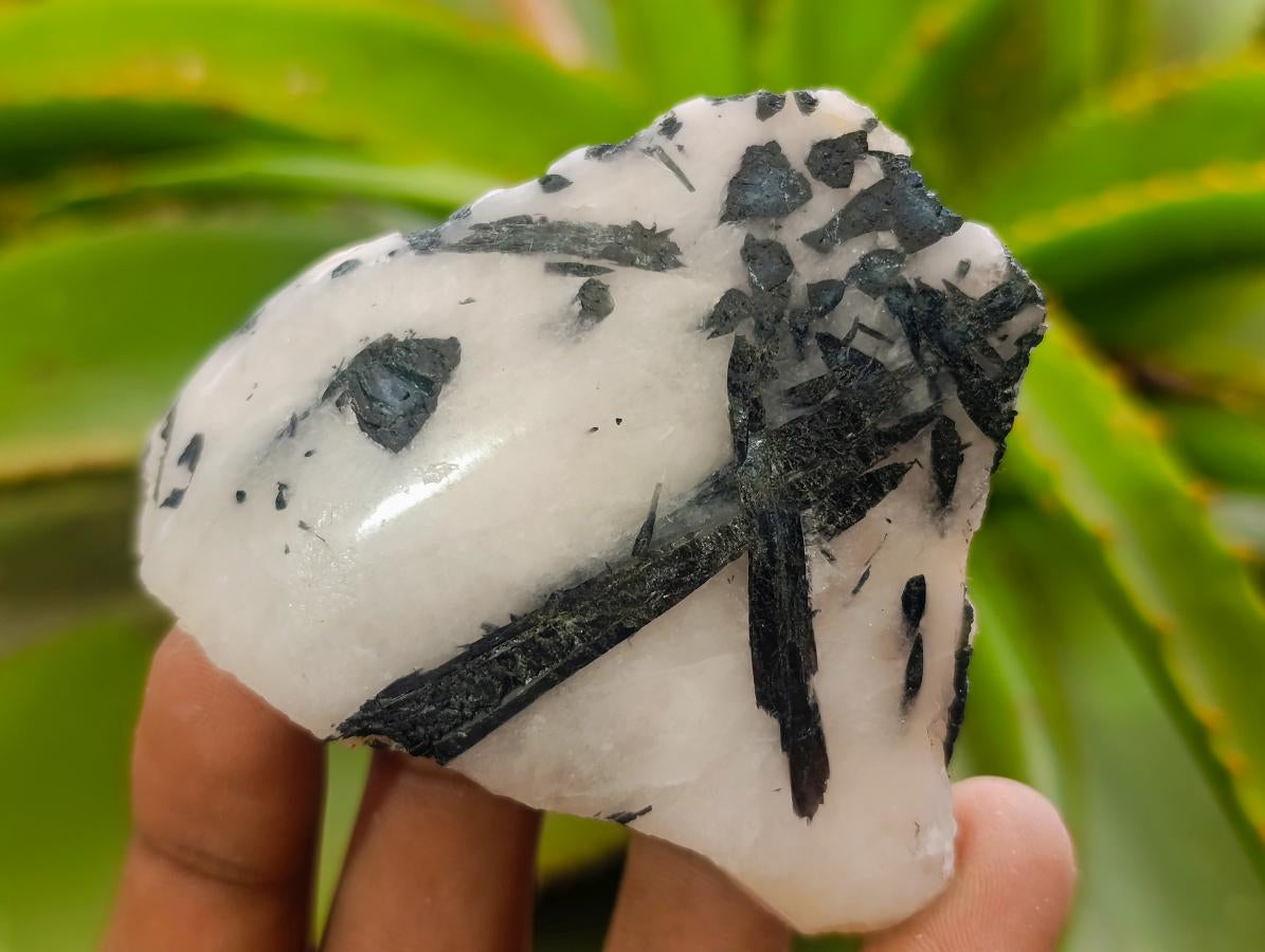 Polished One Side Tourmalinated Quartz Slices x 24 From Namibia - Toprock Gemstones and Minerals 