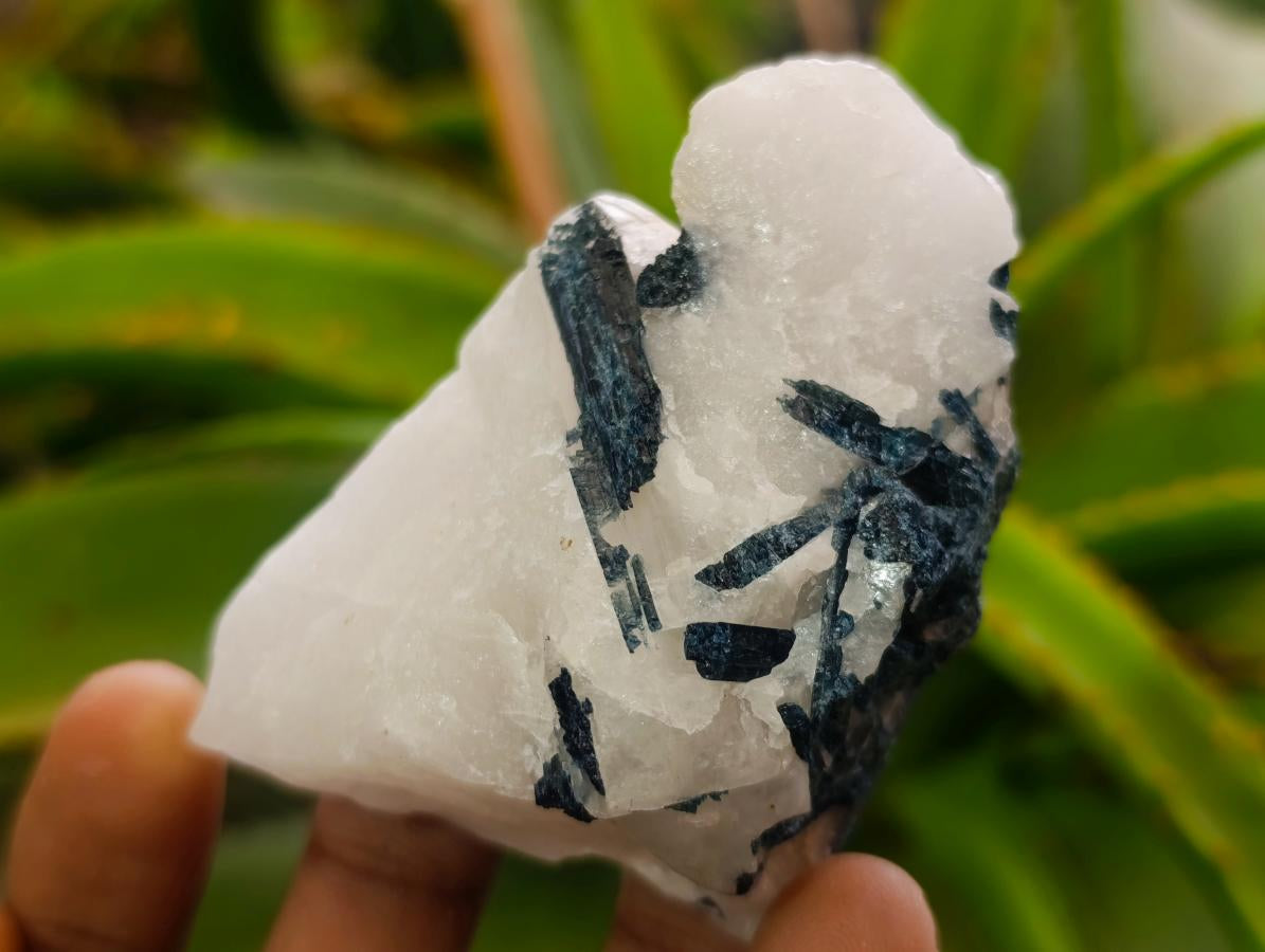 Polished One Side Tourmalinated Quartz Slices x 24 From Namibia - Toprock Gemstones and Minerals 