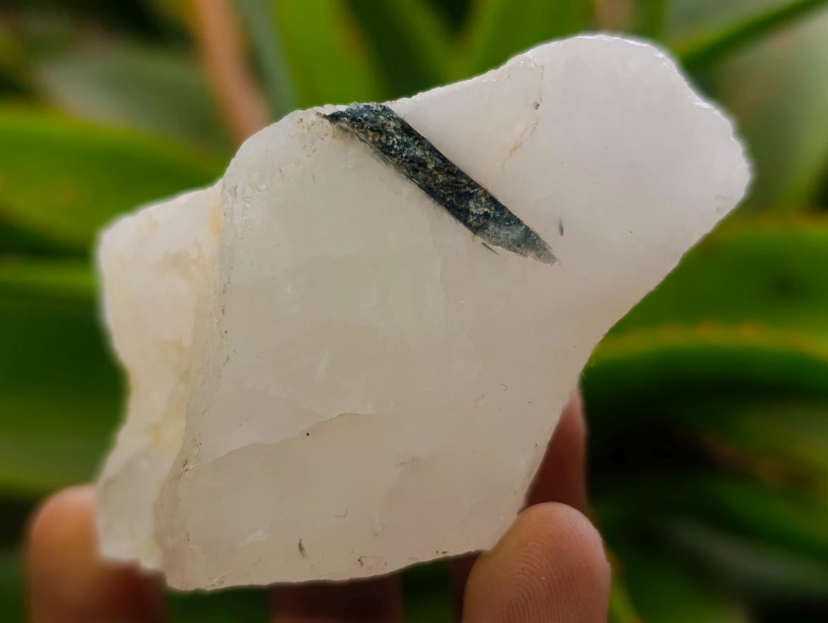 Polished One Side Tourmalinated Quartz Slices x 24 From Namibia - Toprock Gemstones and Minerals 
