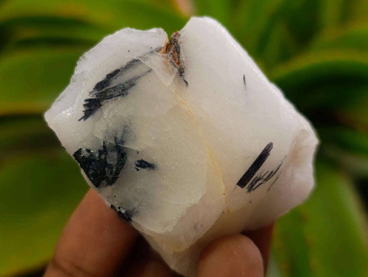 Polished One Side Tourmalinated Quartz Slices x 24 From Namibia - Toprock Gemstones and Minerals 