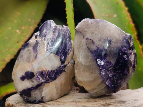 Polished One Side Silver Leaf Lepidolite Domed Nodules x 12 From Zimbabwe - Toprock Gemstones and Minerals 