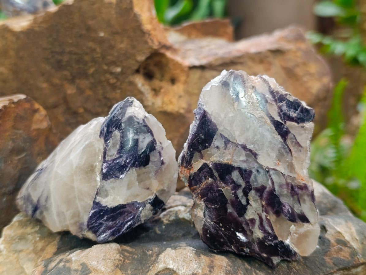 Polished One Side Silver Leaf Lepidolite Domed Nodules x 12 From Zimbabwe - Toprock Gemstones and Minerals 