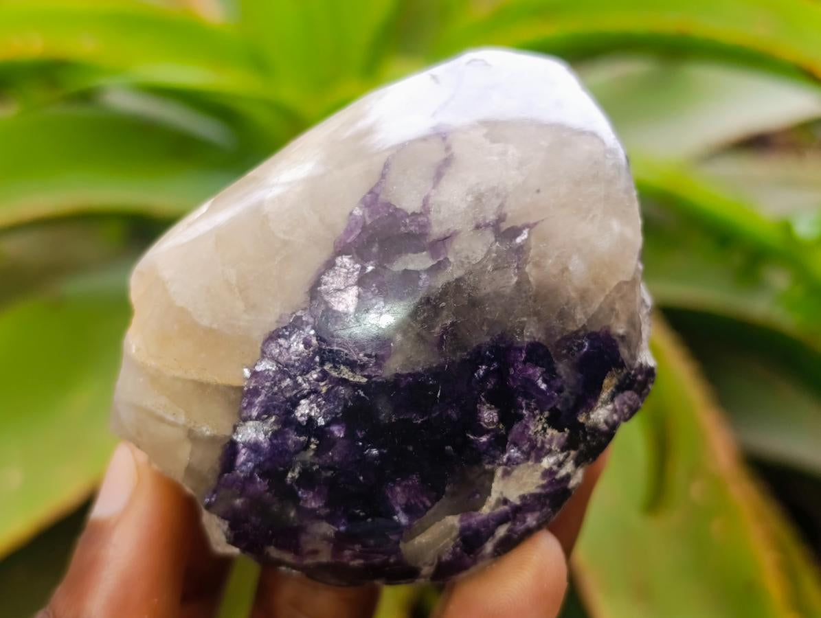 Polished One Side Silver Leaf Lepidolite Domed Nodules x 12 From Zimbabwe - Toprock Gemstones and Minerals 