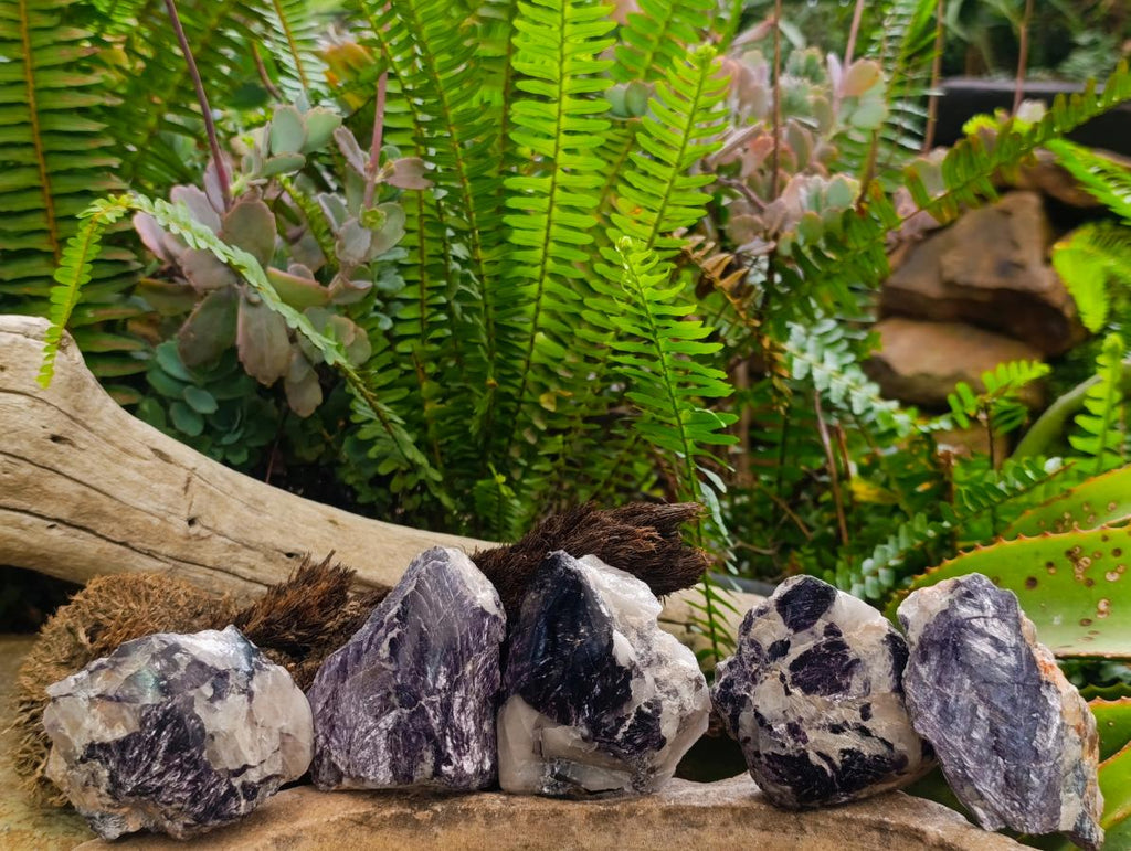 Polished One Side Silver Leaf Lepidolite Domed Nodules x 12 From Zimbabwe - Toprock Gemstones and Minerals 