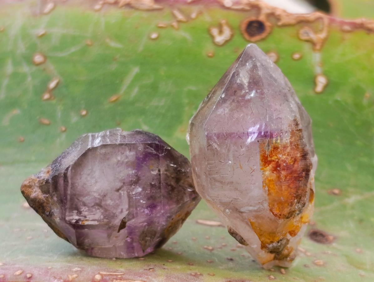 Natural Smokey Window Amethyst Crystals x 70 From Chiredzi, Zimbabwe - Toprock Gemstones and Minerals 