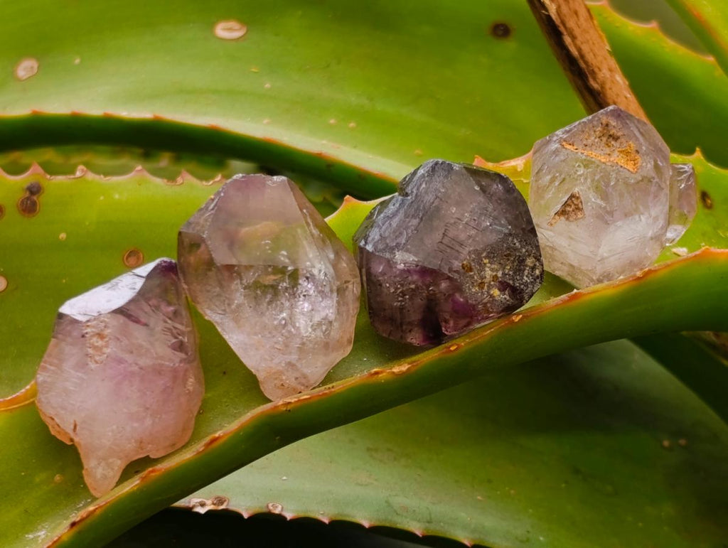Natural Smokey Window Amethyst Crystals x 70 From Chiredzi, Zimbabwe - Toprock Gemstones and Minerals 