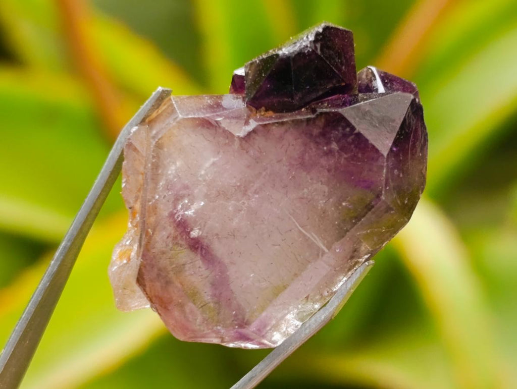Natural Smokey Window Amethyst Crystals x 70 From Chiredzi, Zimbabwe - Toprock Gemstones and Minerals 