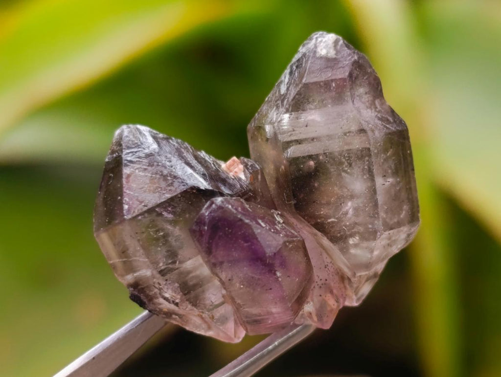 Natural Smokey Window Amethyst Crystals x 70 From Chiredzi, Zimbabwe - Toprock Gemstones and Minerals 