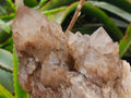 Natural Cascading White Phantom Smokey Luena Quartz Clusters x 2 From Luena, Congo - Toprock Gemstones and Minerals 