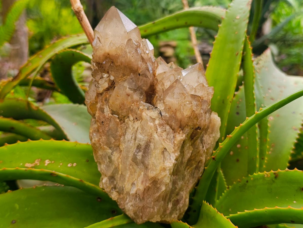 Natural Cascading White Phantom Smokey Luena Quartz Clusters x 2 From Luena, Congo - Toprock Gemstones and Minerals 