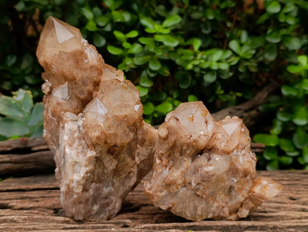 Natural Cascading White Phantom Smokey Luena Quartz Clusters x 2 From Luena, Congo - Toprock Gemstones and Minerals 