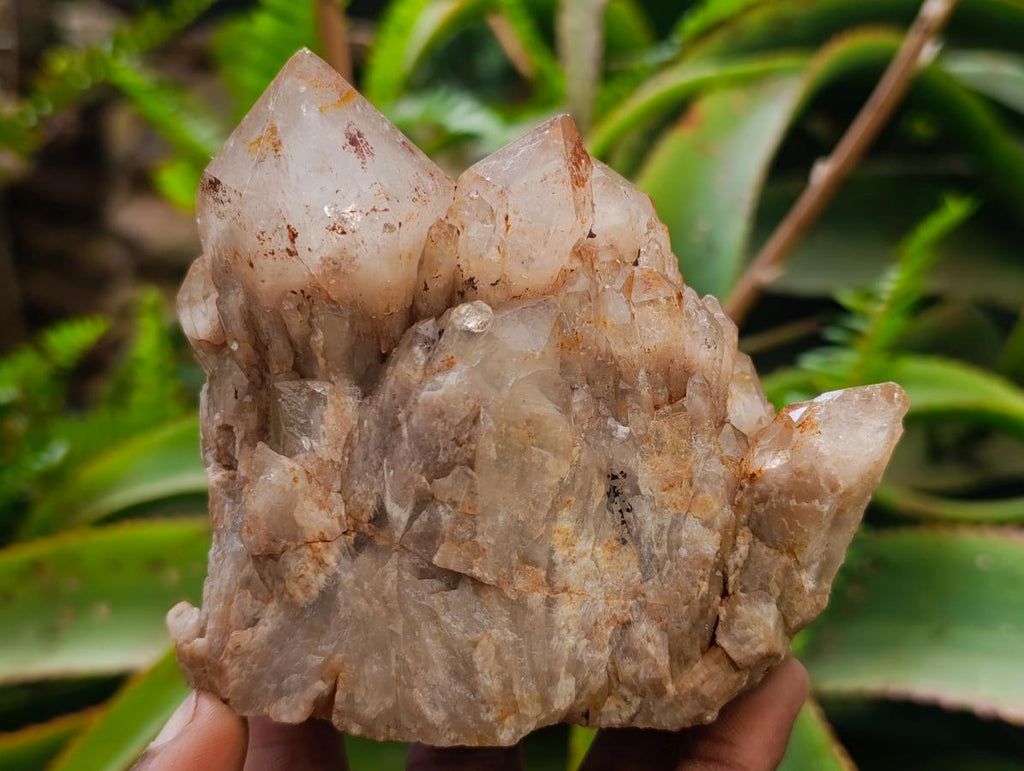 Natural Cascading White Phantom Smokey Luena Quartz Clusters x 2 From Luena, Congo - Toprock Gemstones and Minerals 