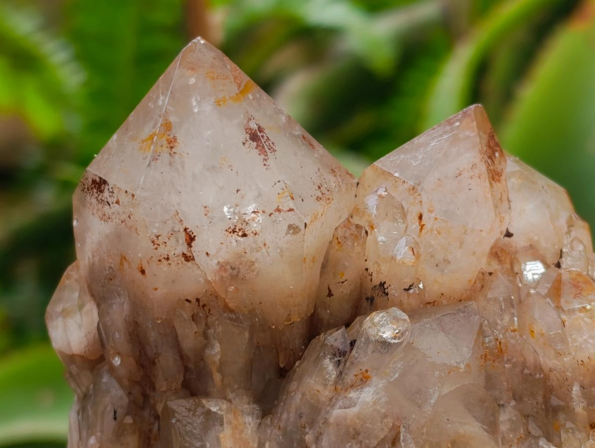 Natural Cascading White Phantom Smokey Luena Quartz Clusters x 2 From Luena, Congo - Toprock Gemstones and Minerals 