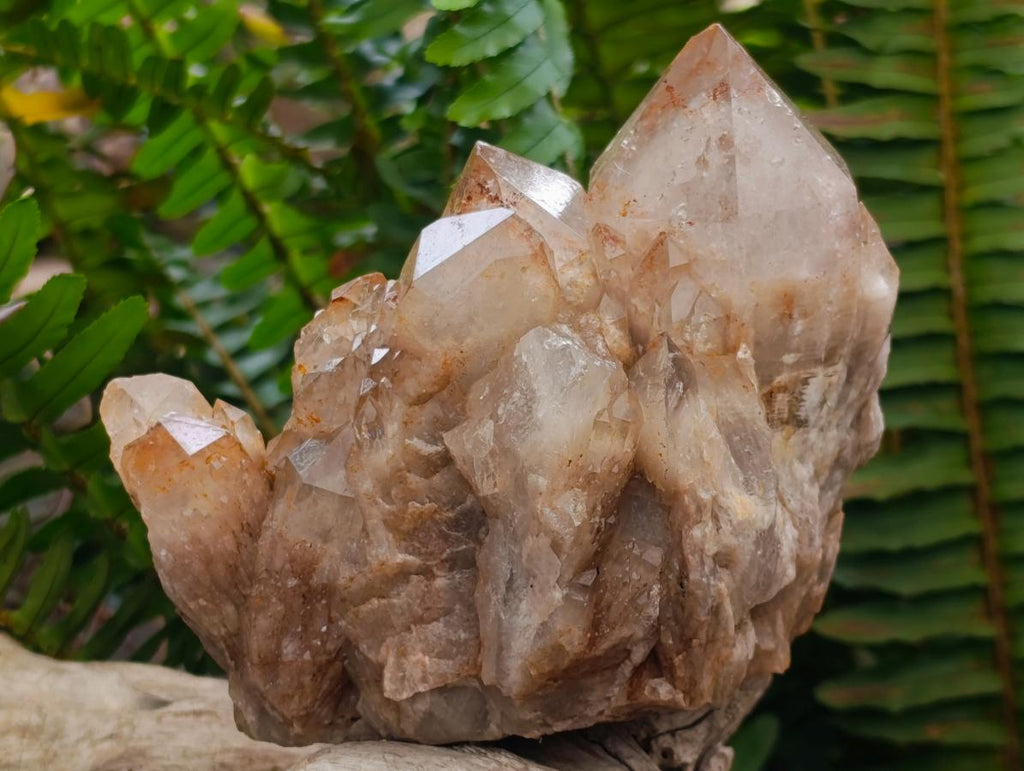 Natural Cascading White Phantom Smokey Luena Quartz Clusters x 2 From Luena, Congo - Toprock Gemstones and Minerals 