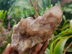 Natural Cascading White Phantom Smokey Luena Quartz Clusters x 2 From Luena, Congo - Toprock Gemstones and Minerals 
