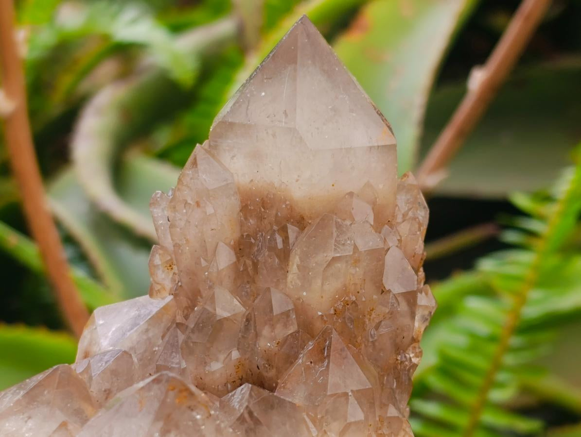 Natural Cascading White Phantom Smokey Luena Quartz Clusters x 2 From Luena, Congo - Toprock Gemstones and Minerals 