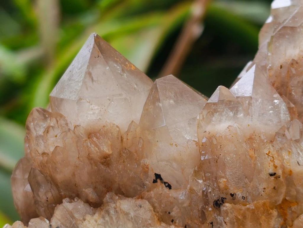 Natural Cascading White Phantom Smokey Luena Quartz Clusters x 2 From Luena, Congo - Toprock Gemstones and Minerals 