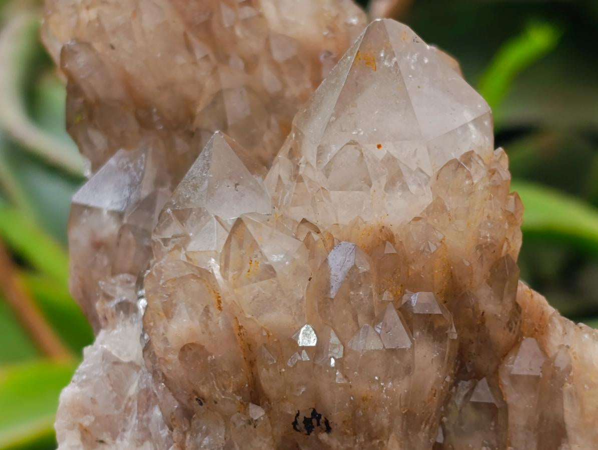 Natural Cascading White Phantom Smokey Luena Quartz Clusters x 2 From Luena, Congo - Toprock Gemstones and Minerals 