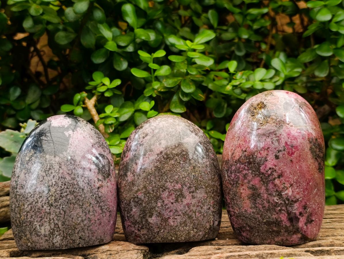 Polished Rhodonite Standing Display Pieces x 3 From Ambindavato, Madagascar - Toprock Gemstones and Minerals 