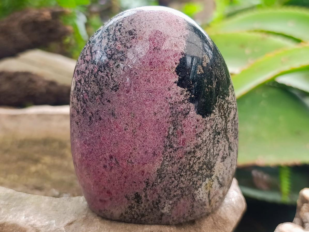 Polished Rhodonite Standing Display Pieces x 3 From Ambindavato, Madagascar - Toprock Gemstones and Minerals 