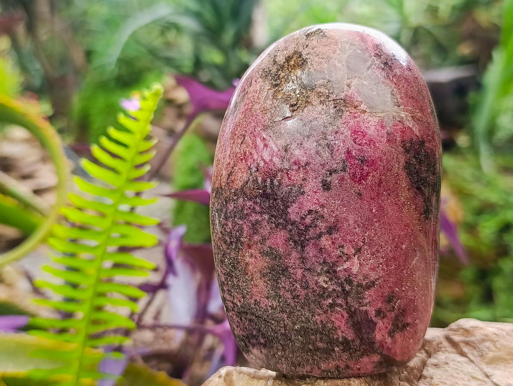 Polished Rhodonite Standing Display Pieces x 3 From Ambindavato, Madagascar - Toprock Gemstones and Minerals 