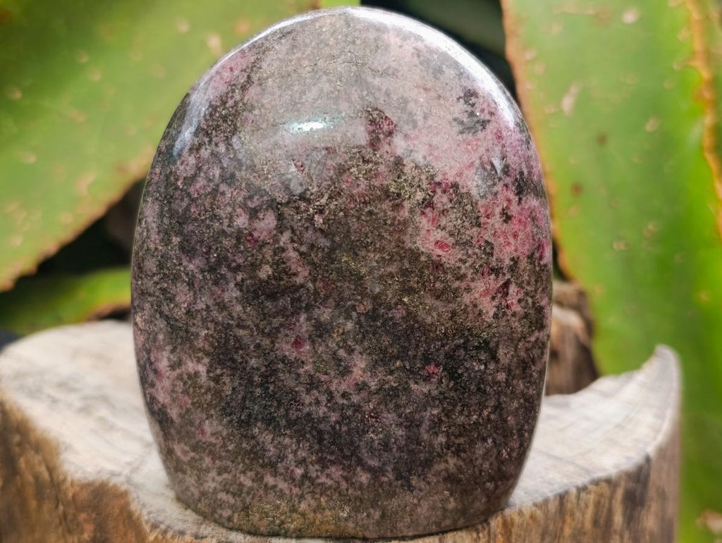 Polished Rhodonite Standing Display Pieces x 3 From Ambindavato, Madagascar - Toprock Gemstones and Minerals 
