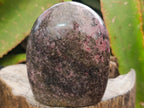 Polished Rhodonite Standing Display Pieces x 3 From Ambindavato, Madagascar - Toprock Gemstones and Minerals 