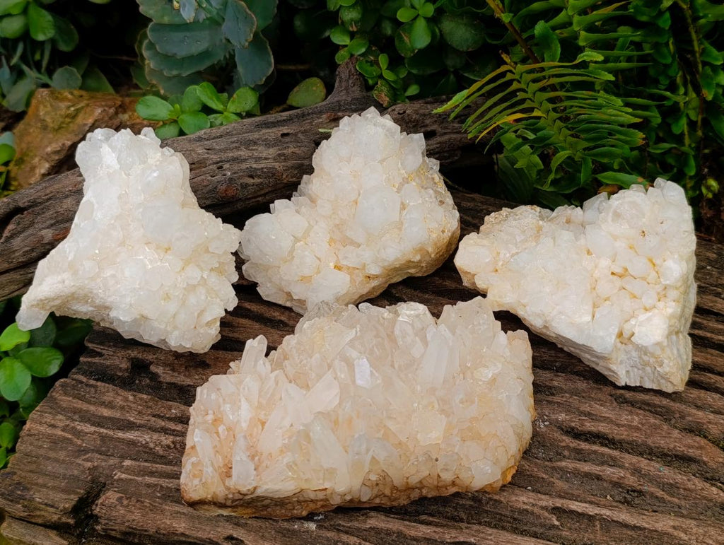 Natural Malagasy Quartz Clusters x 4 From Madagascar - Toprock Gemstones and Minerals 