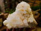 Natural Malagasy Quartz Clusters x 4 From Madagascar - Toprock Gemstones and Minerals 
