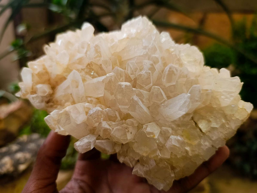 Natural Malagasy Quartz Clusters x 4 From Madagascar - Toprock Gemstones and Minerals 