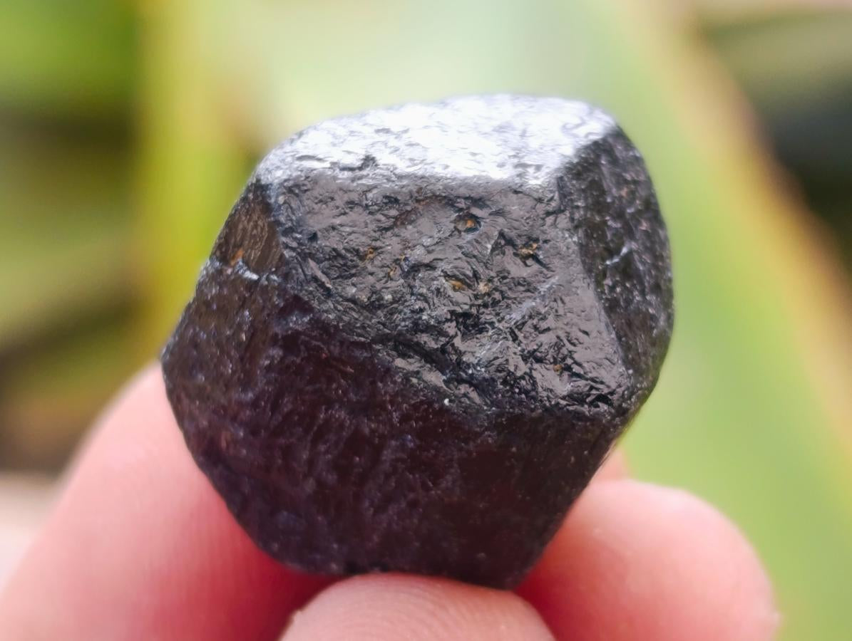 Natural MIni Schorl Black Tourmaline Crystals x 1,69 Kg Lot From Zimbabwe - Toprock Gemstones and Minerals 