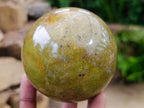 Polished Green Opal Spheres x 3 From Betroka, Madagascar - Toprock Gemstones and Minerals 