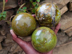 Polished Green Opal Spheres x 3 From Betroka, Madagascar - Toprock Gemstones and Minerals 